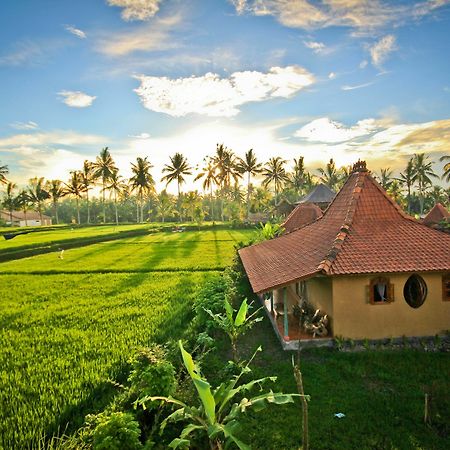 Dragonfly Village أوبود المظهر الخارجي الصورة