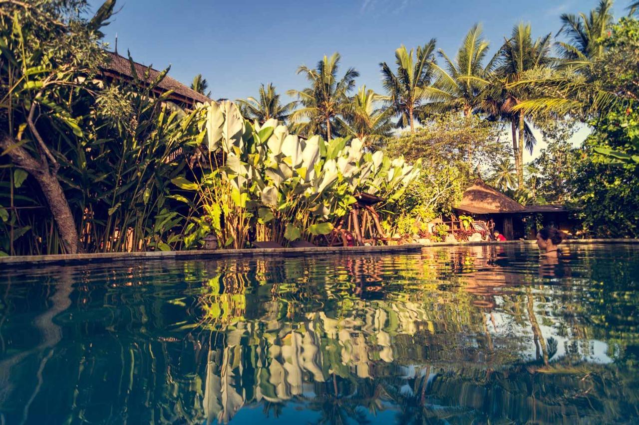 Dragonfly Village أوبود المظهر الخارجي الصورة