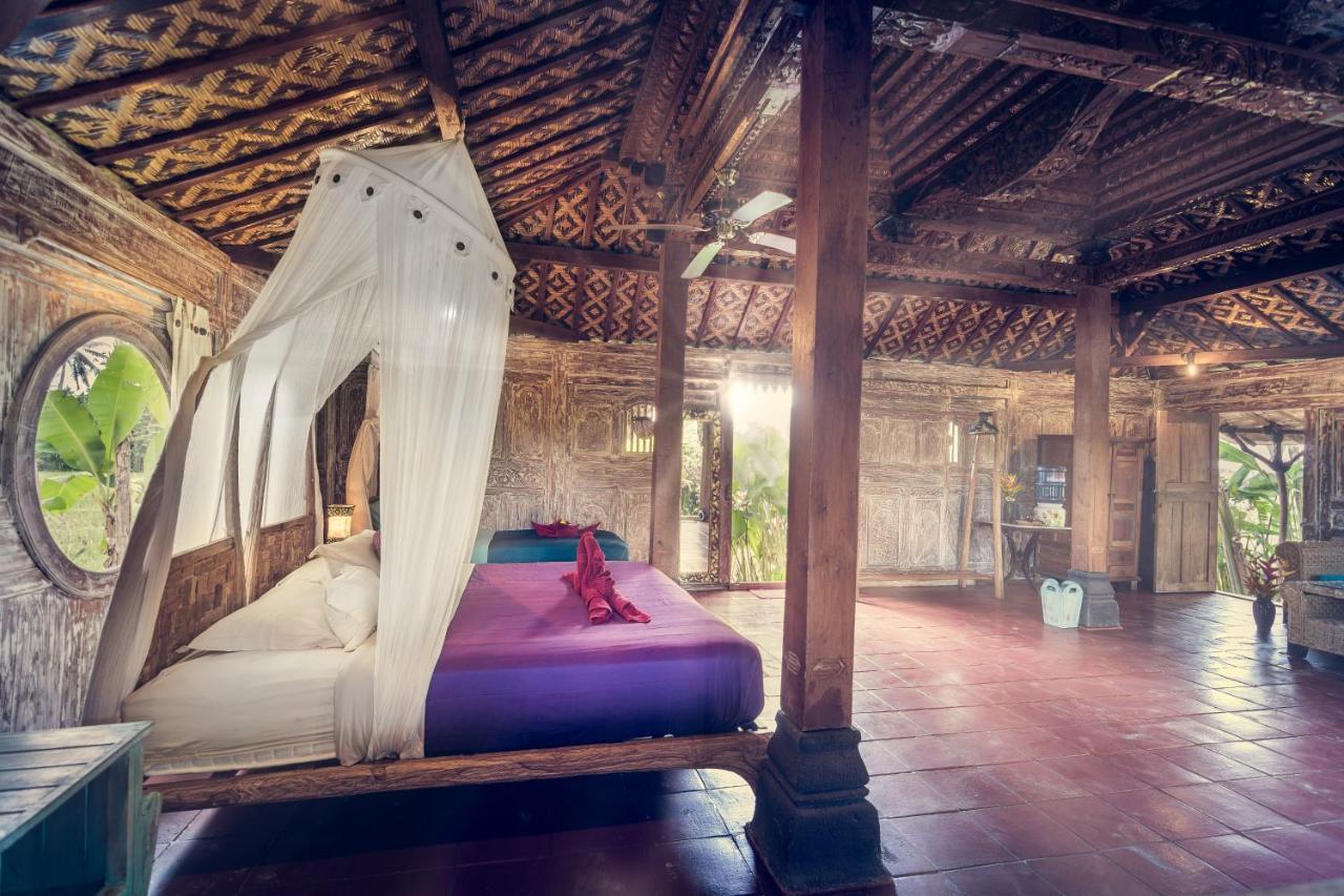 Dragonfly Village أوبود المظهر الخارجي الصورة