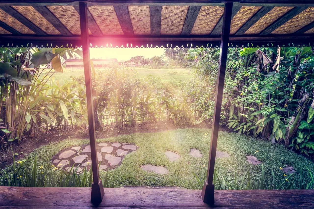 Dragonfly Village أوبود المظهر الخارجي الصورة