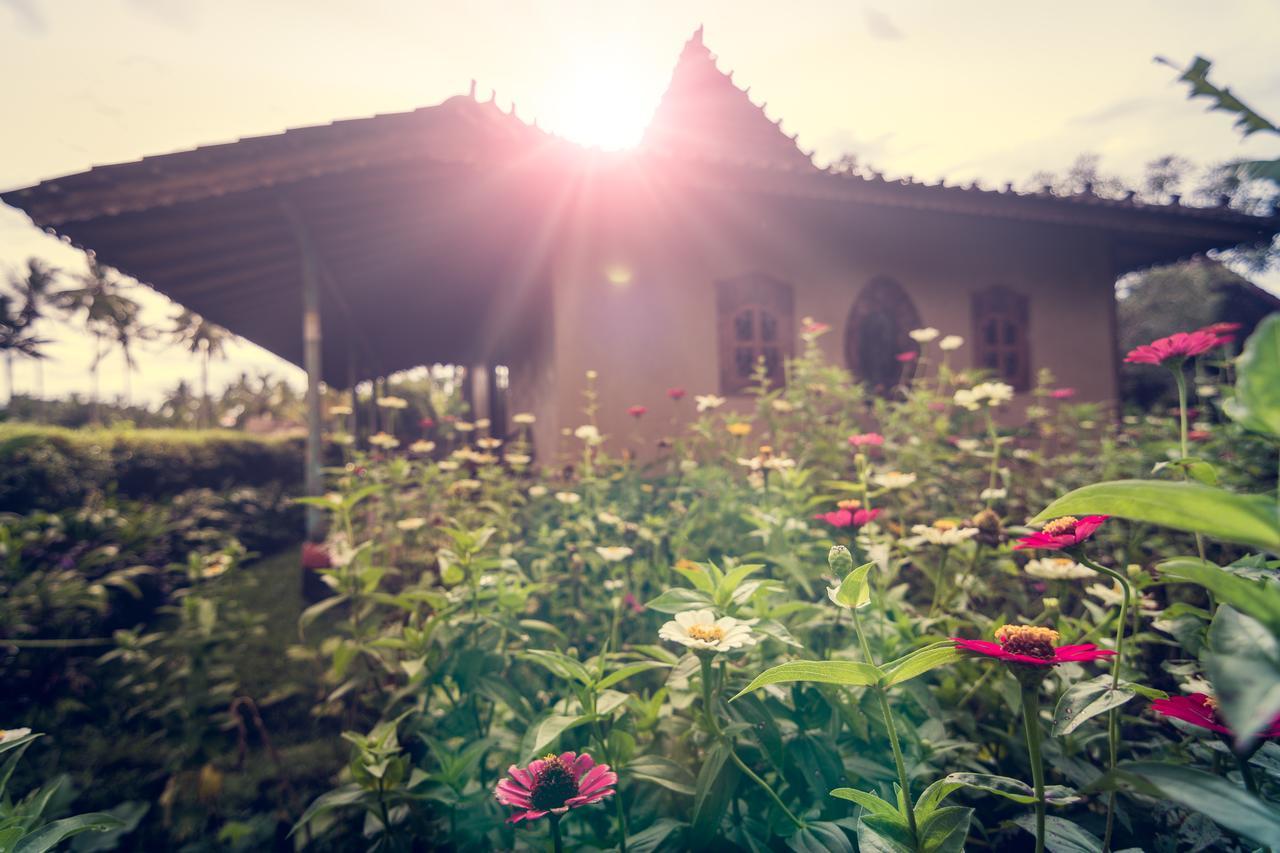 Dragonfly Village أوبود المظهر الخارجي الصورة