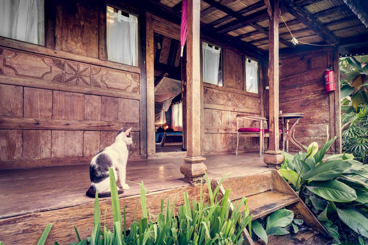 Dragonfly Village أوبود المظهر الخارجي الصورة